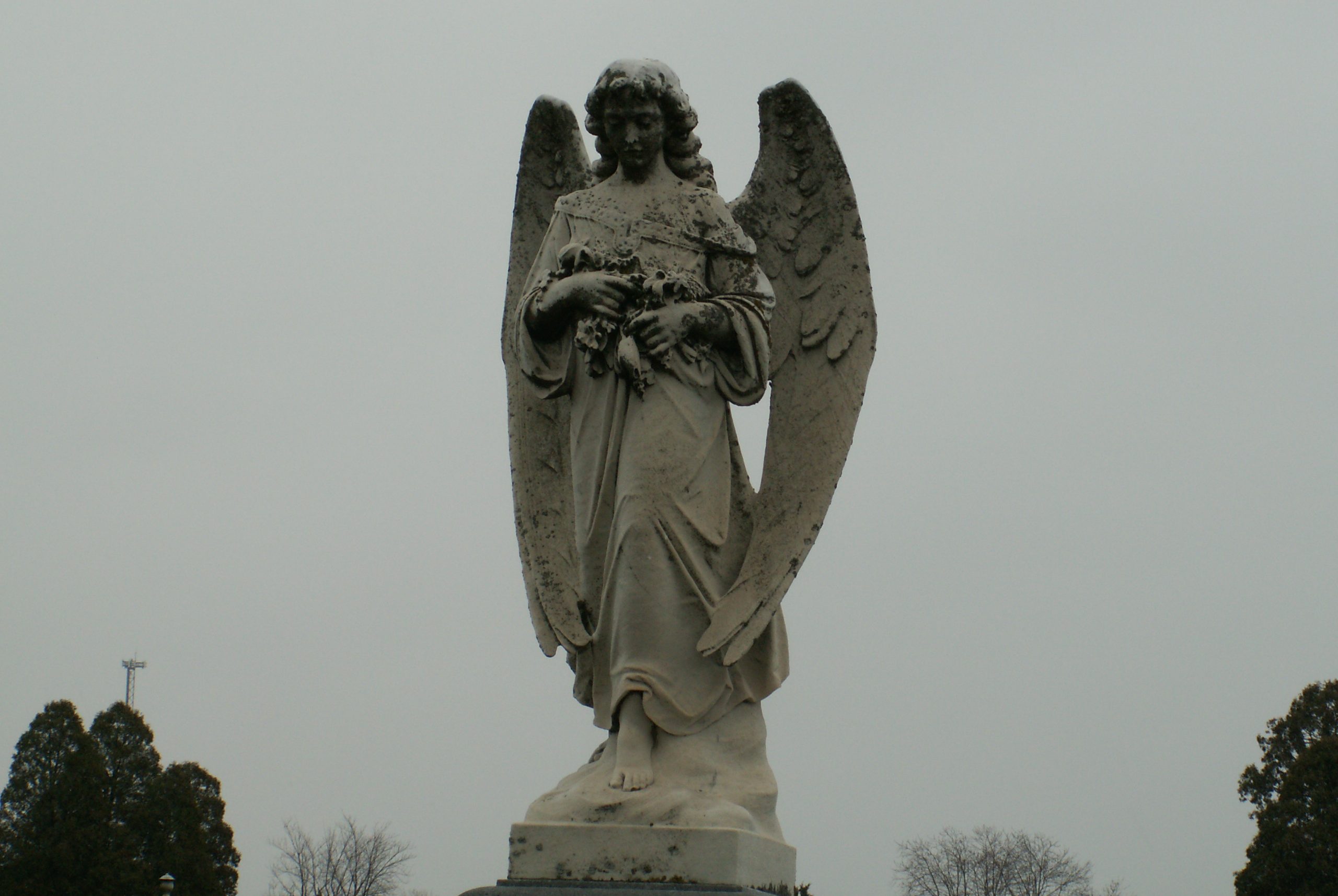 Lonely Angel