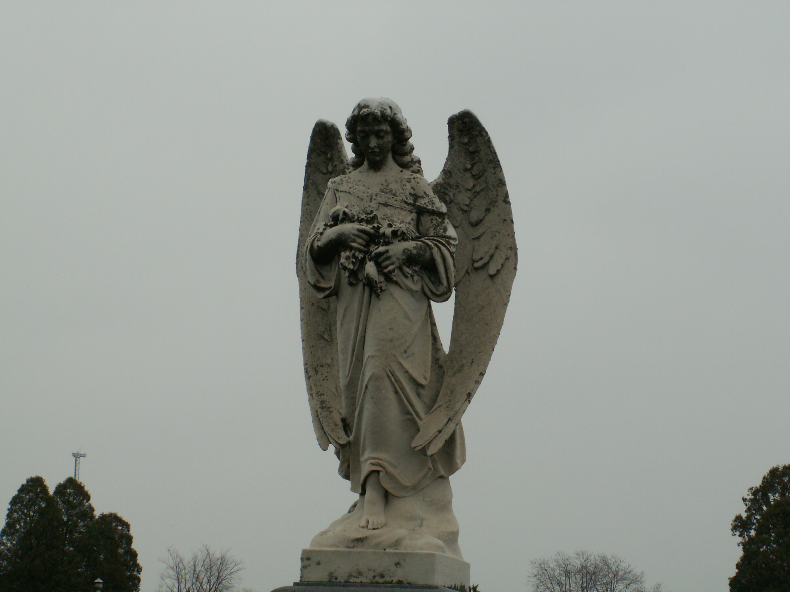 Lonely Angel